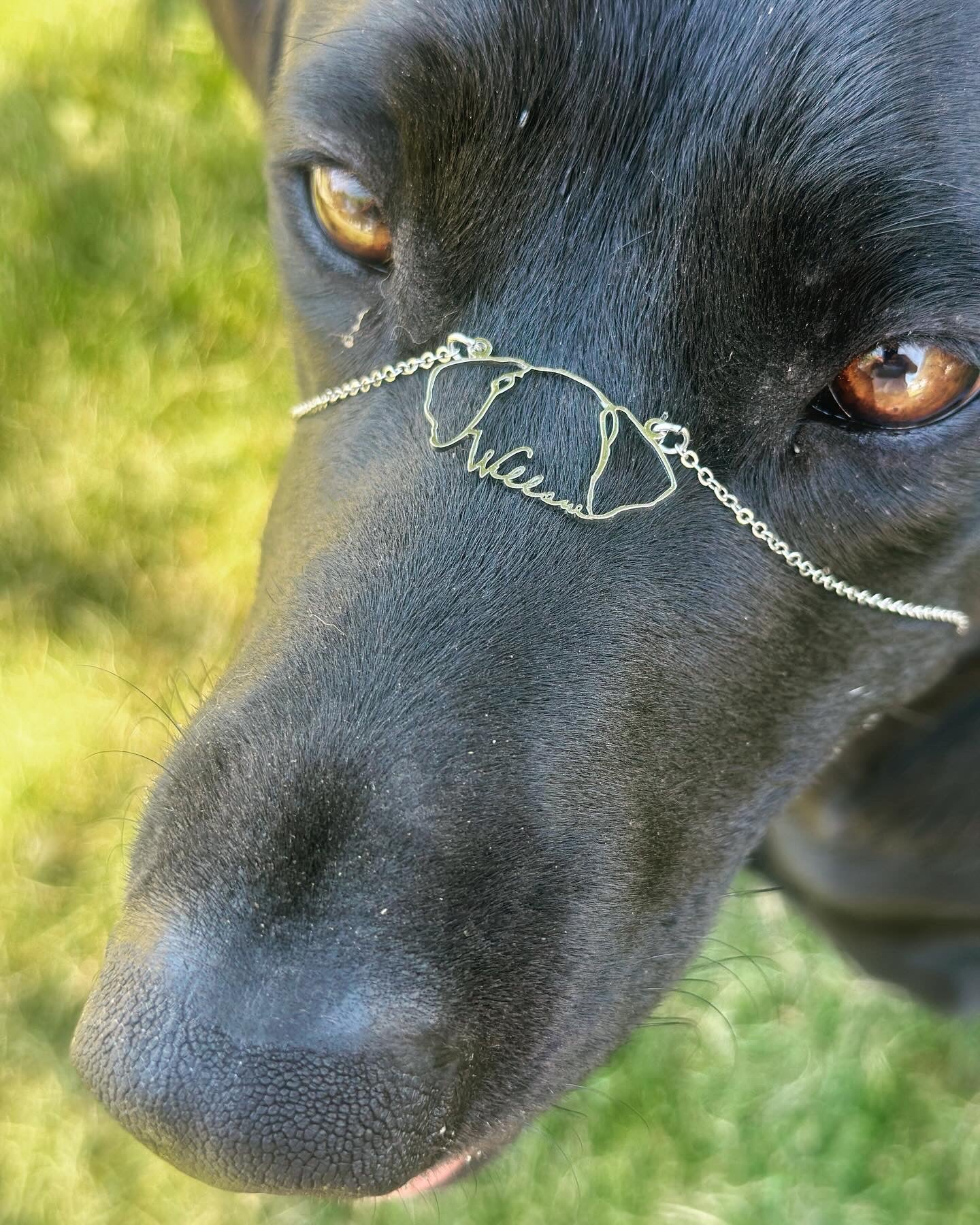 The Ear-resistible Charm Necklace